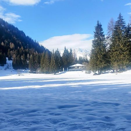 Appartamento Caprioli Pellizzano Exteriör bild
